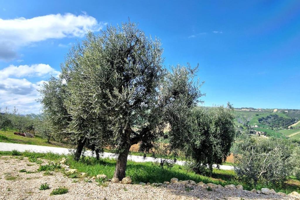 Li Da Ste Villa Ripatransone Exterior photo